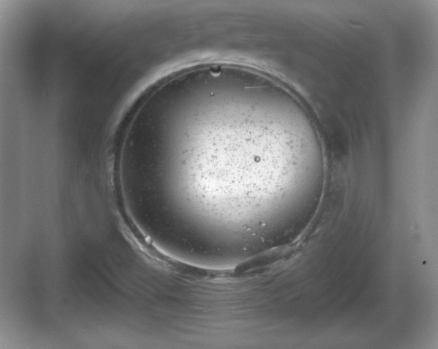 X0000068851503200605121356