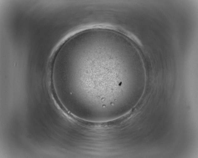 X0000068851504200605121356