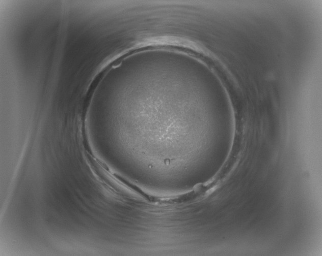 X0000068851505200605121356