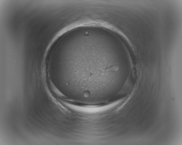 X0000068851506200605121356