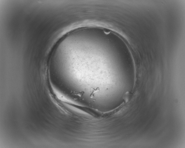 X0000068851507200605121356