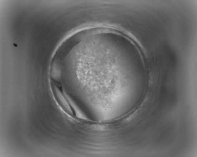 X0000068851508200605121356