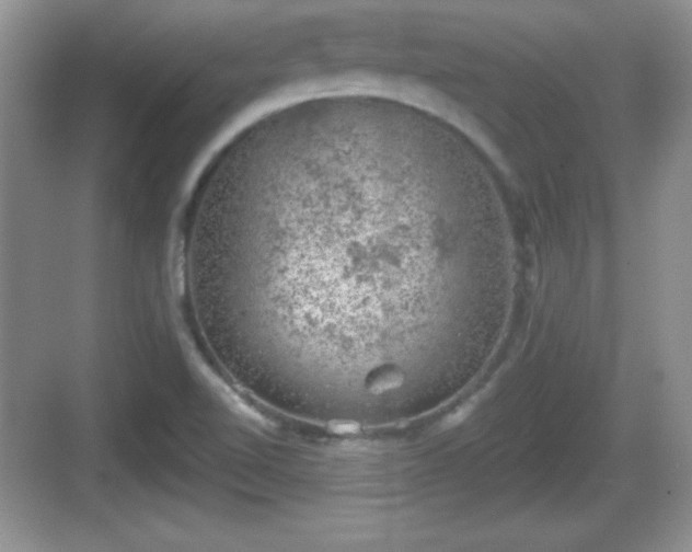 X0000068851510200605121356