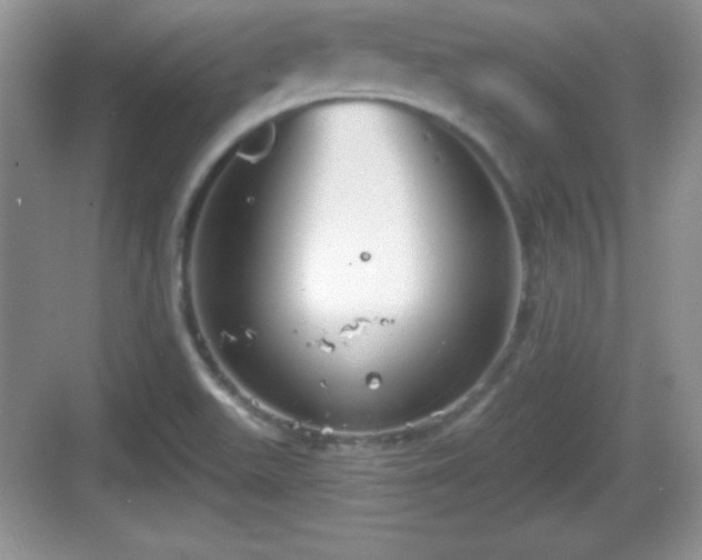 X0000068851511200605121356