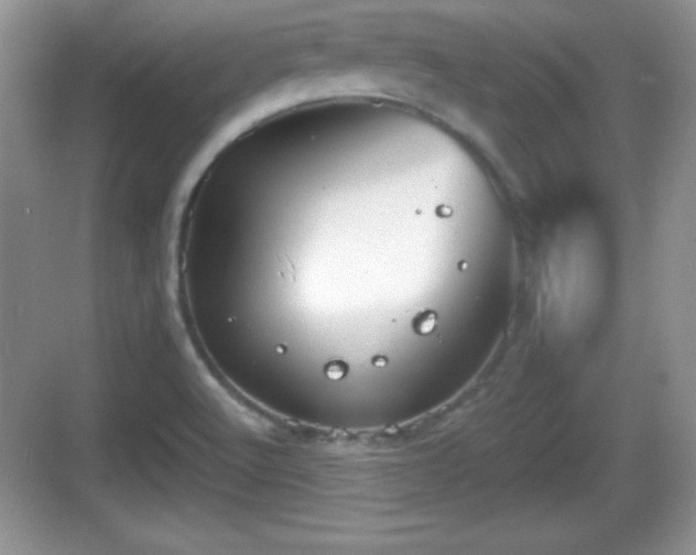 X0000068851512200605121356