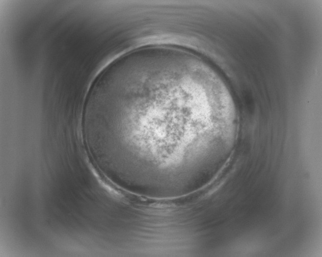 X0000068851513200605121356