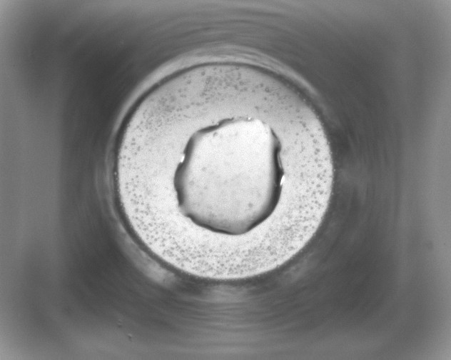 X0000068851514200605121356