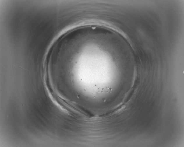 X0000068851515200605121356