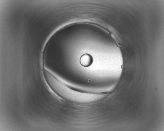 X0000068851516200605121356