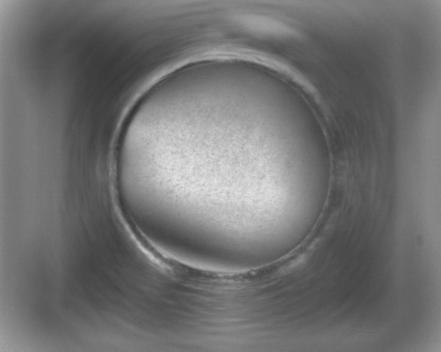 X0000068851517200605121356