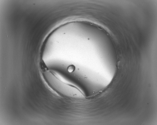 X0000068851518200605121356