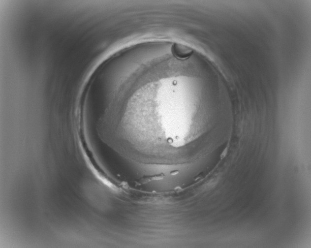 X0000068851519200605121356