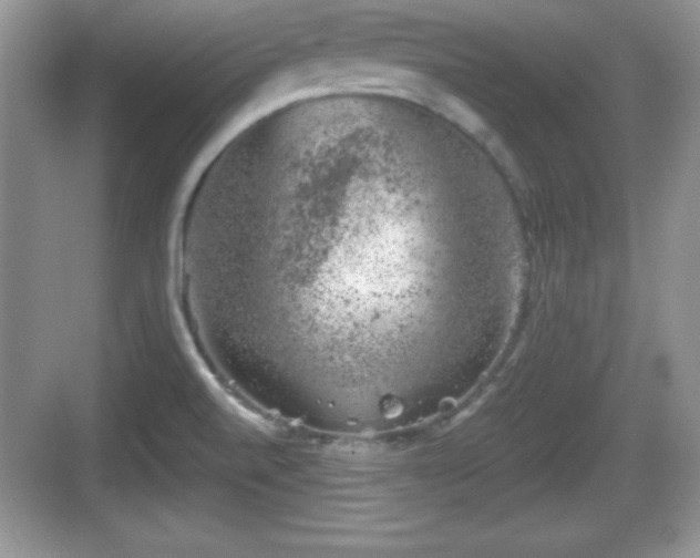 X0000068851520200605121356