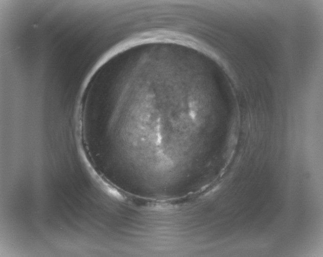 X0000068851522200605121356