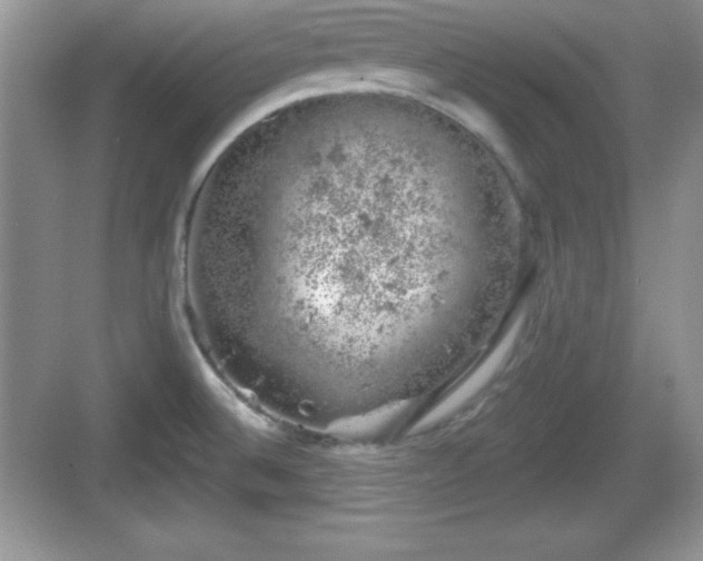 X0000068851524200605121356