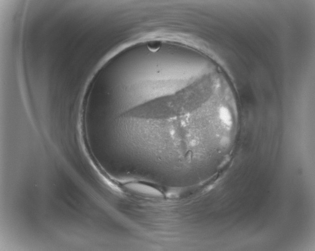 X0000068851525200605121356