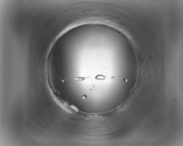 X0000068851526200605121356