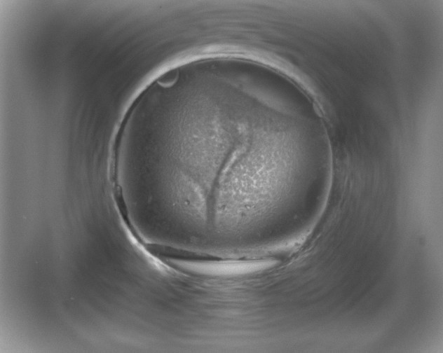 X0000068851527200605121356