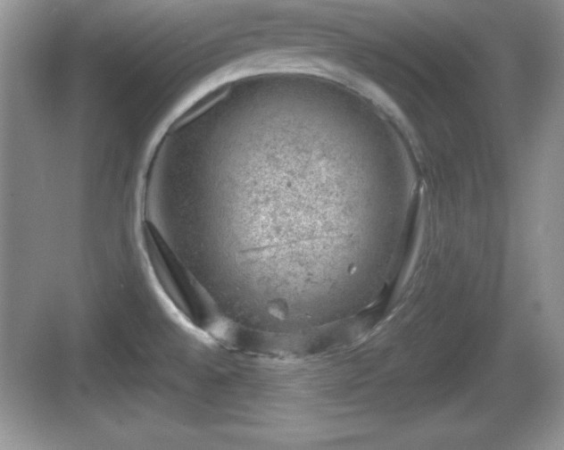 X0000068851528200605121356