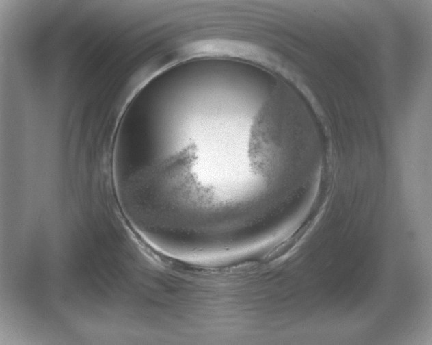 X0000068851529200605121356