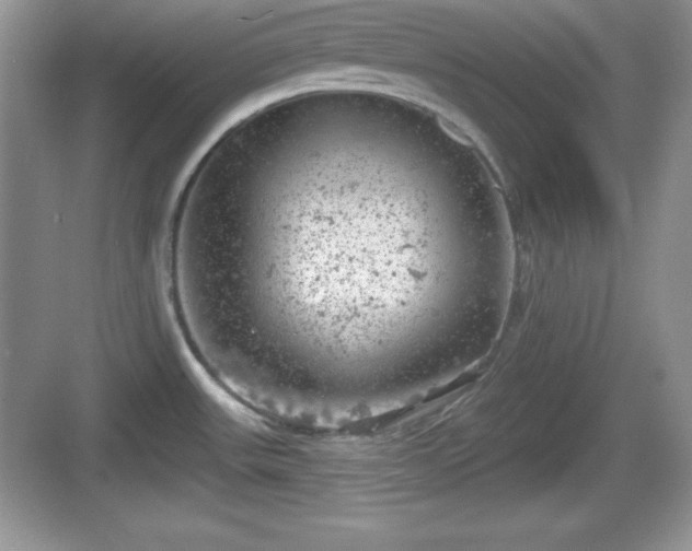 X0000068851531200605121356