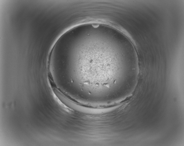 X0000068851532200605121356