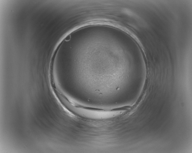 X0000068851533200605121356