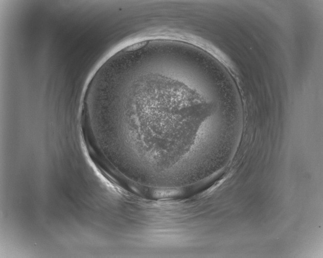 X0000068851536200605121356