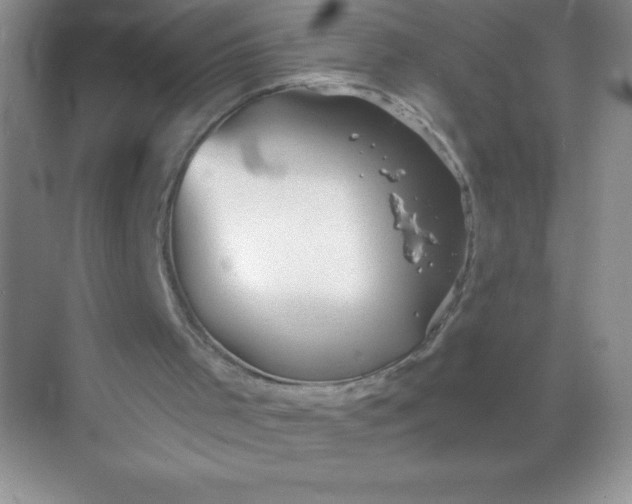 X0000068850001200605192003