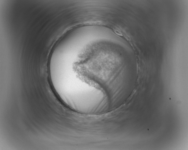 X0000068850002200605192003