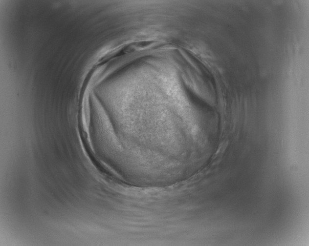 X0000068850003200605192003