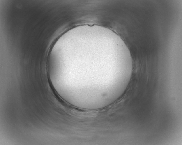 X0000068850004200605192003