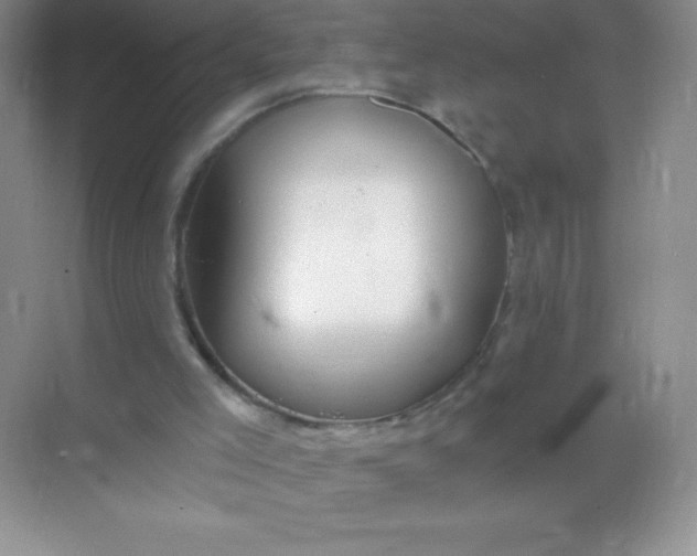 X0000068850005200605192003