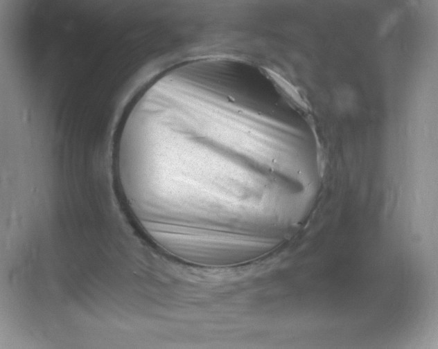 X0000068850006200605192003