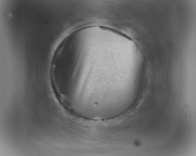 X0000068850007200605192003