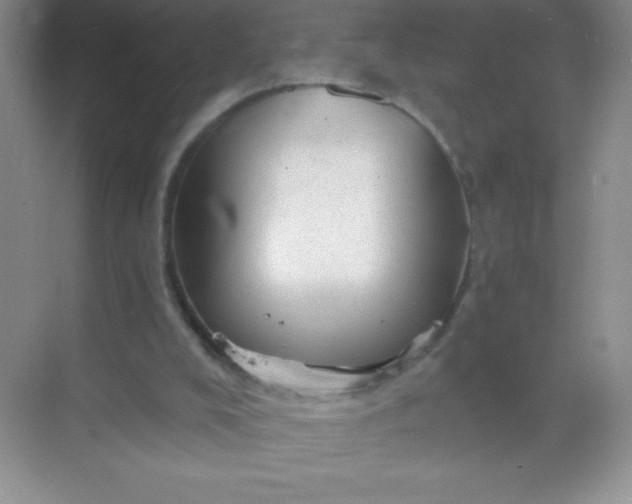 X0000068850008200605192003