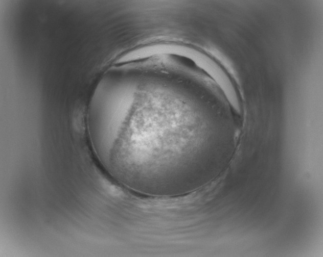 X0000068850009200605192003