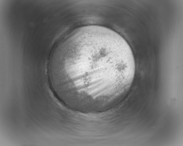 X0000068850010200605192003