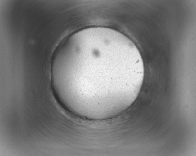 X0000068850011200605192003