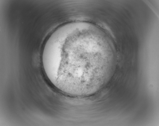 X0000068850012200605192003