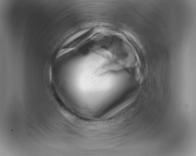 X0000068850013200605192003