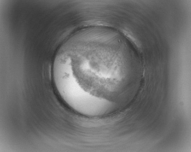 X0000068850014200605192003