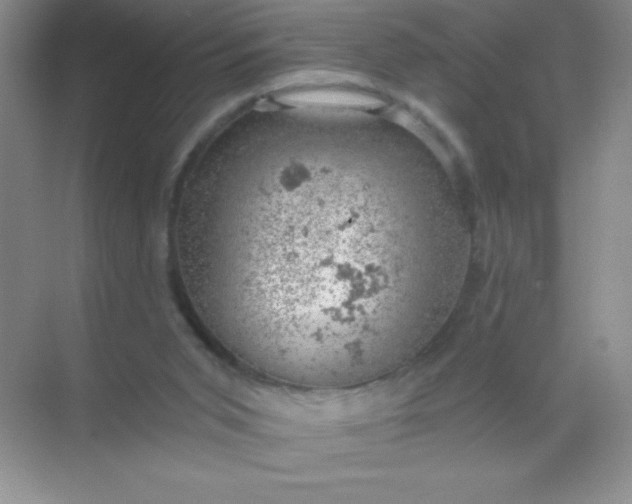 X0000068850015200605192003