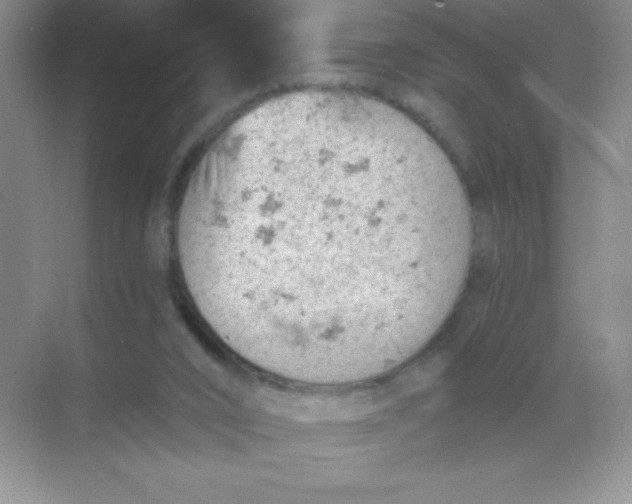 X0000068850016200605192003