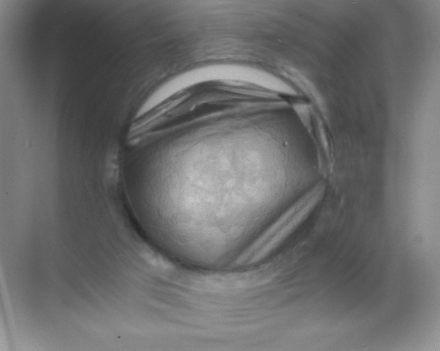 X0000068850017200605192003