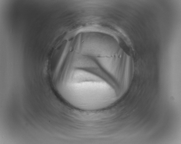 X0000068850018200605192003