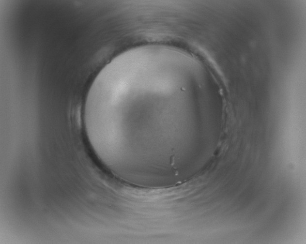 X0000068850019200605192003