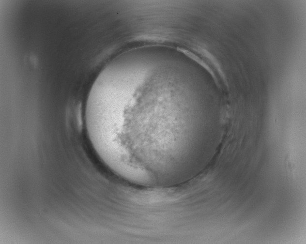 X0000068850020200605192003