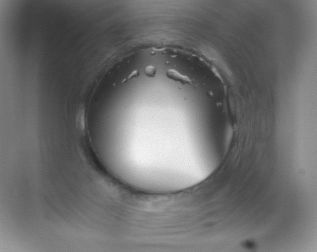 X0000068850021200605192003