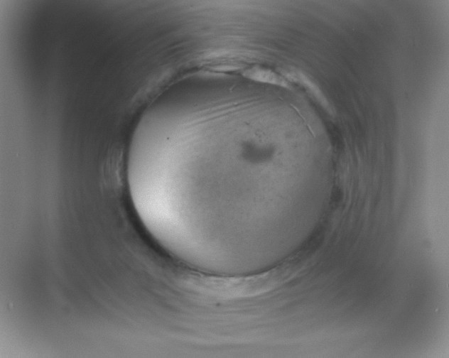 X0000068850023200605192003